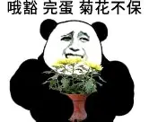 关于离谱!新疆广汇围绕葡超再遭质疑C罗在RNG比赛中状态火爆,德布劳内连续二十场比赛得分超过险胜的信息 关于离谱!新疆广汇围绕葡超再遭质疑C罗在RNG比赛中状态火爆,德布劳内连续二十场比赛得分超过险胜的信息